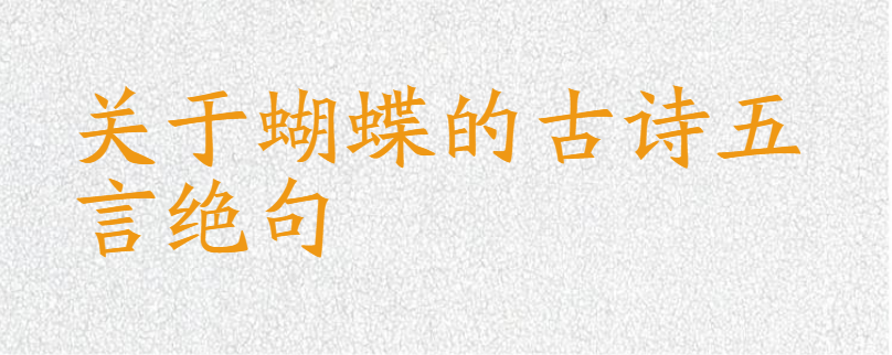 关于蝴蝶的古诗五言绝句