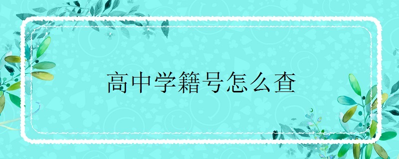 高中学籍号怎么查