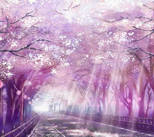 落花随流水