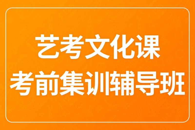 艺考文化课考前集训辅导班