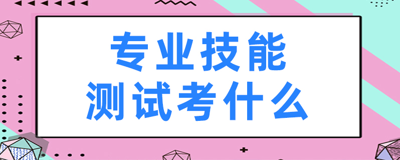 专业技能测试考什么
