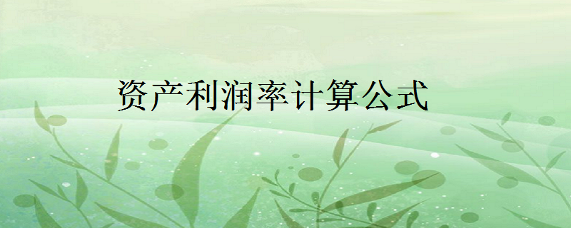 资产利润率计算公式