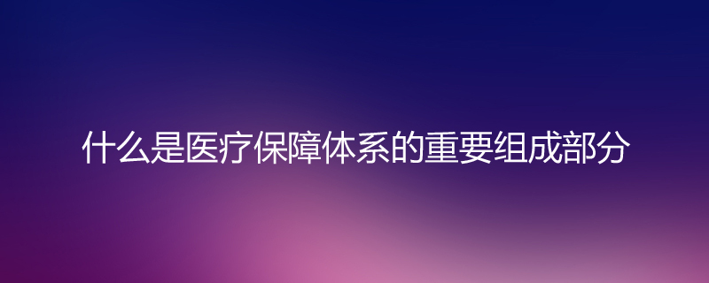 什么是医疗保障体系的重要组成部分