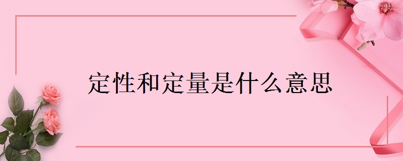 定性和定量是什么意思