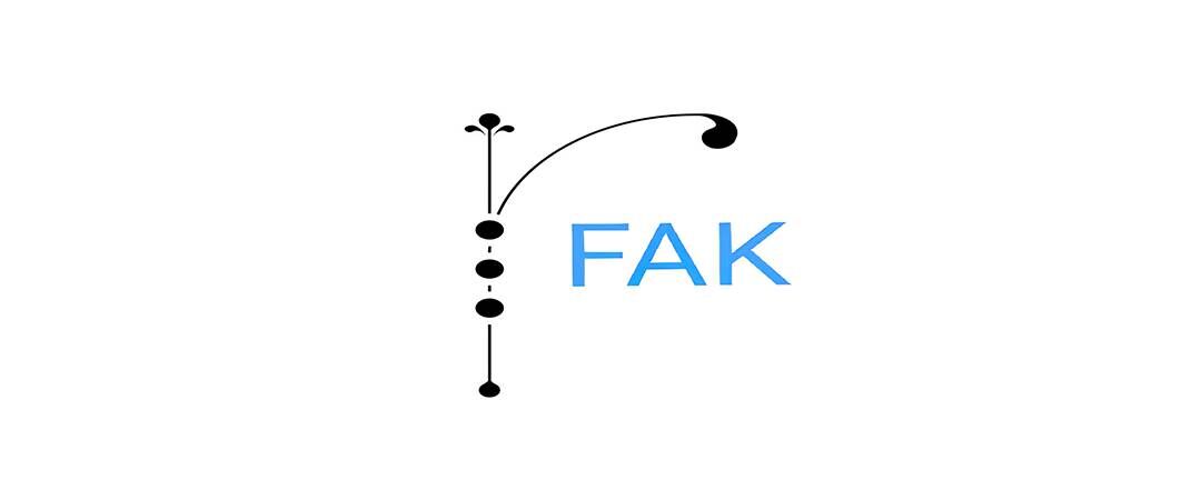 fak是什么意思