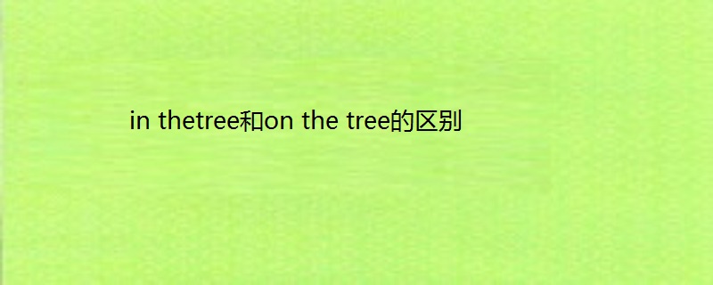 in thetree和on the tree的区别