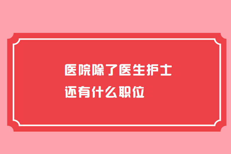 醫院除了醫生護士還有什么職位