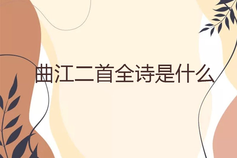 曲江二首全诗是什么