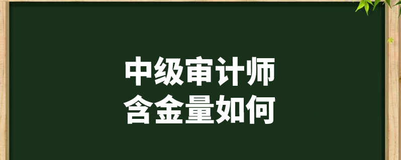 國際注冊會計師考試科目_國際注冊會計師考點_國際注冊會計師證考試科目