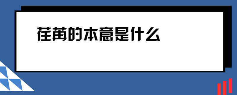 荏苒的本意是什么