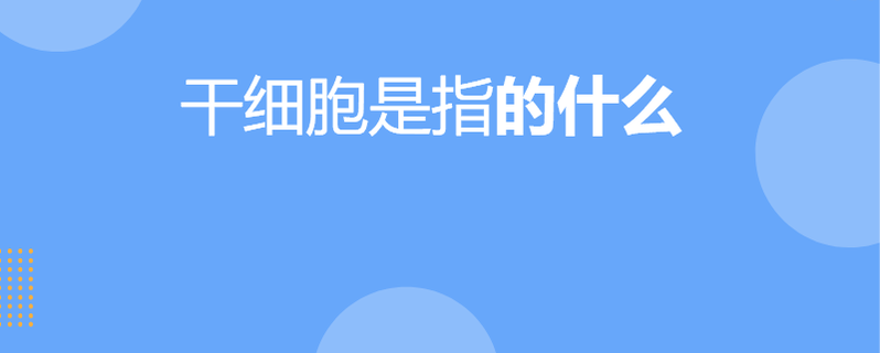干细胞是指的什么