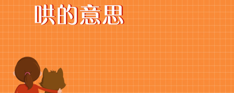 哄的意思