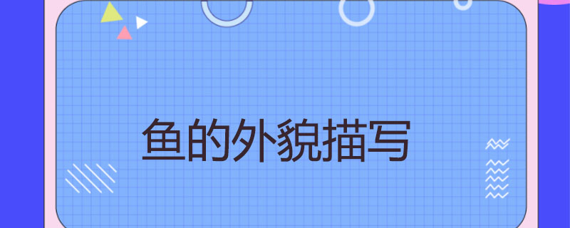 鱼的外貌描写