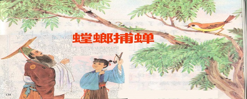 螳螂捕蛇简笔画图片