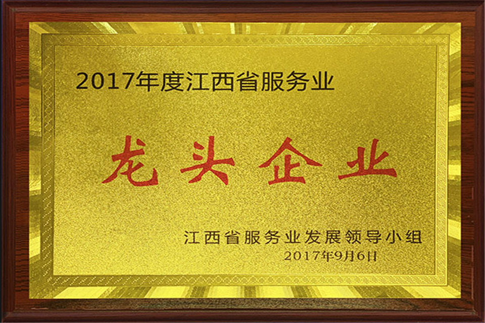 江西服务业发展领导小组-龙头企业