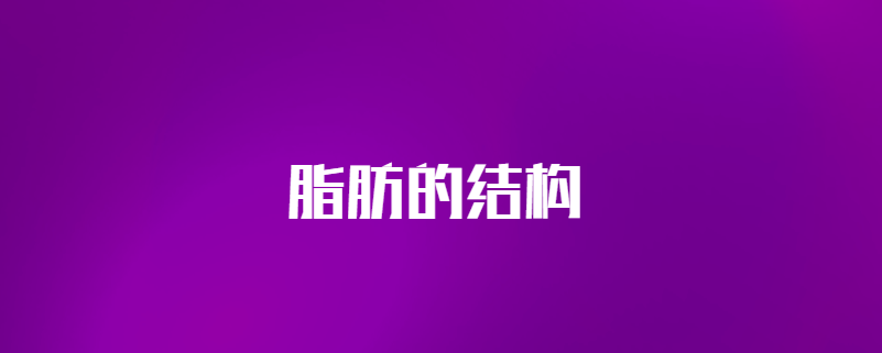 脂肪的结构