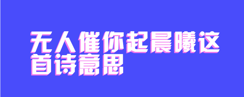 无人催你起晨曦这首诗意思