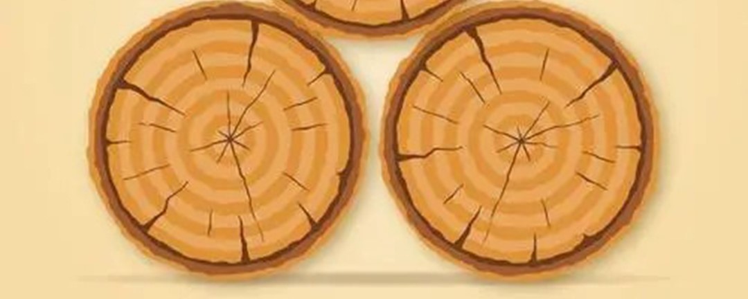 横截面是哪个面