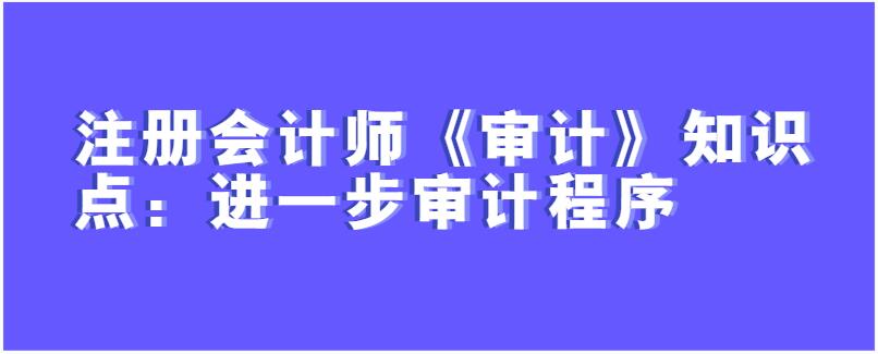 注册会计师《审计》知识点：进一步审计程序