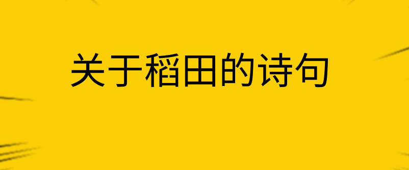 关于稻田的诗句