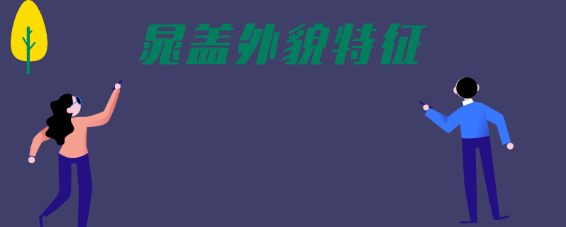 晁盖外貌特征