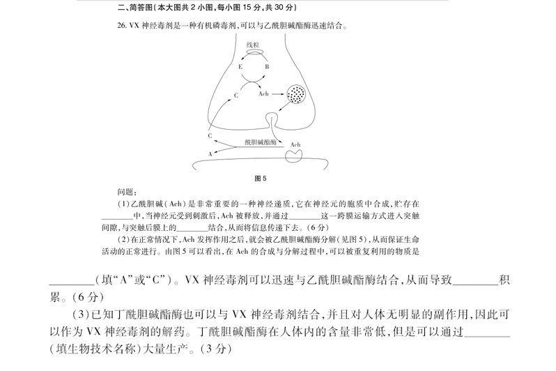 2019下半年高中生物学科知识与能力教师资格证笔试真题及答案