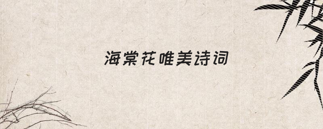 海棠花唯美诗词