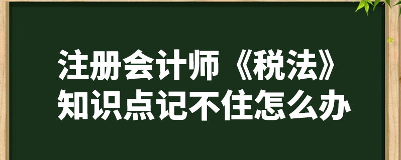 註冊會計師《稅法》知識點記不住怎麼辦