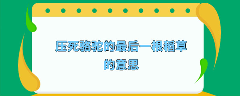 压死骆驼的最后一根稻草的意思