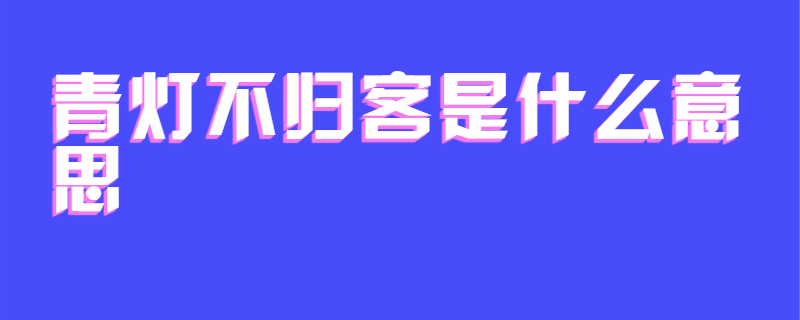 青灯不归客是什么意思