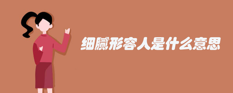 细腻形容人是什么意思