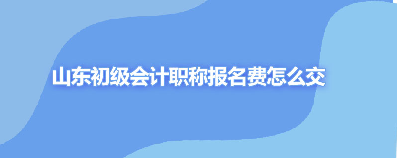 山东初级会计职称报名费怎么交