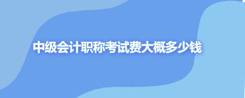 中级会计职称考试费大概多少钱