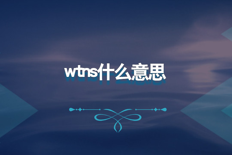 wtns什么意思