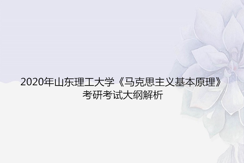 2020年山东理工大学《马克思主义基本原理》考研考试大纲解析