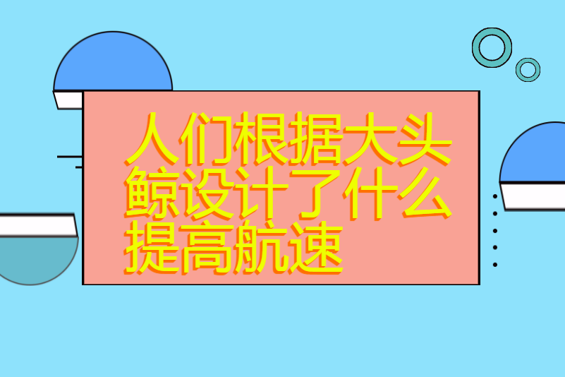 人们根据大头鲸设计了什么提高航速