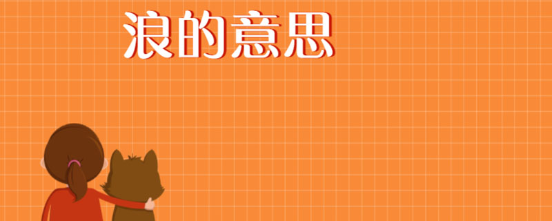浪的意思