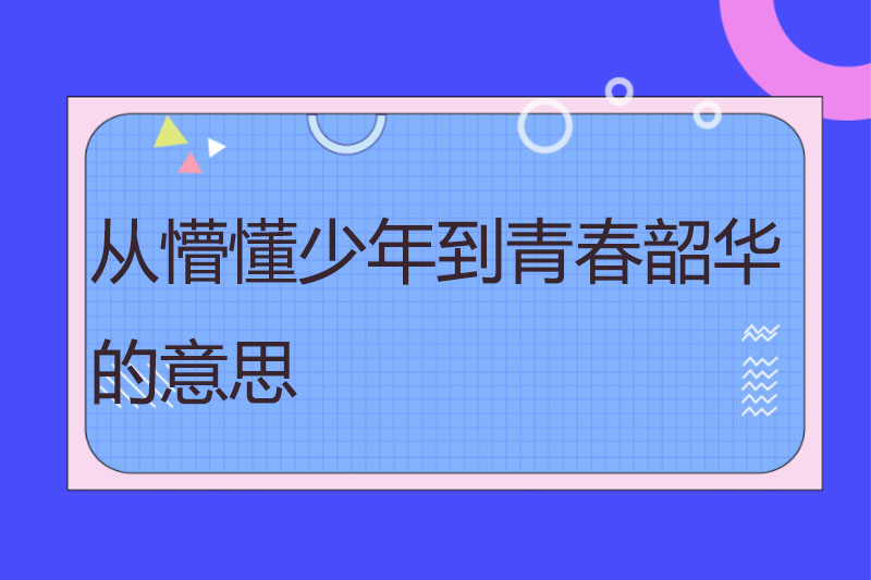 从懵懂少年到青春韶华的意思