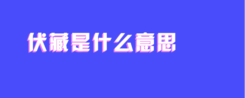 伏藏是什么意思