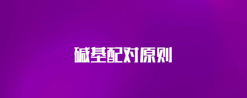 碱基配对原则