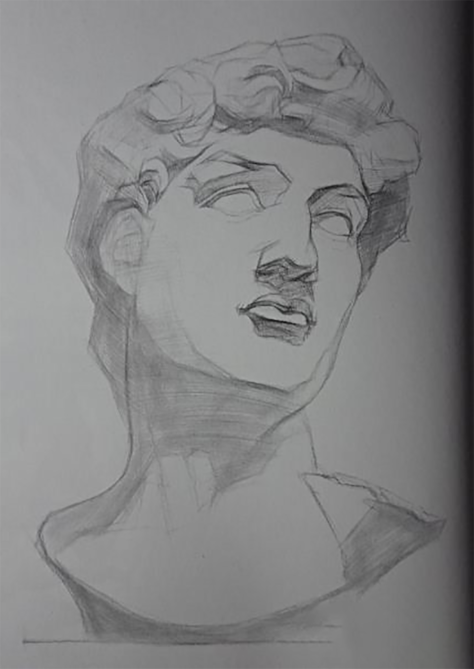 初步表现大卫像的头部的体积感.