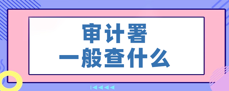 审计署一般查什么