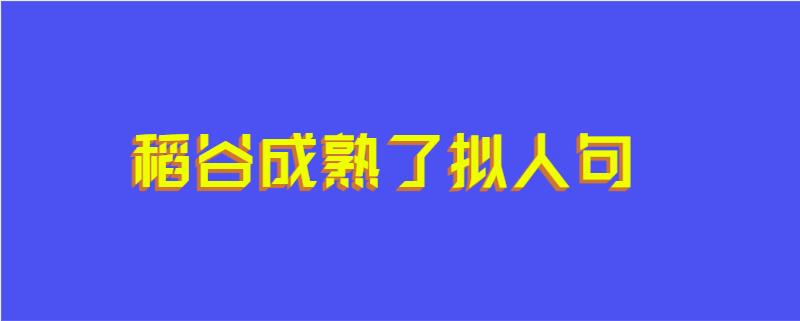 稻谷成熟了拟人句