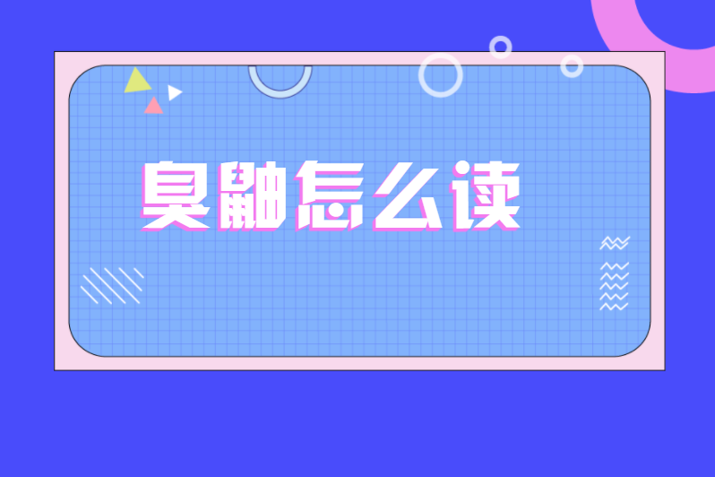 臭鼬怎么读
