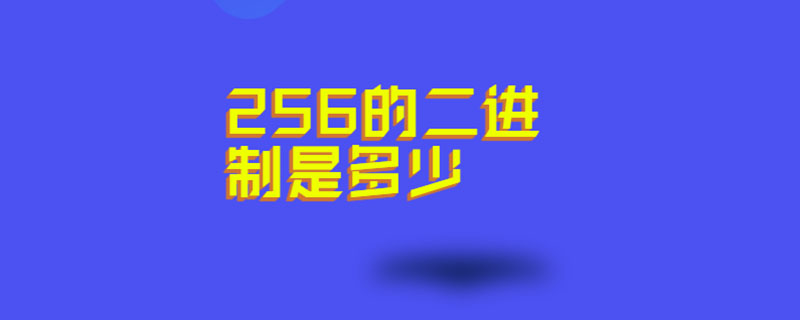 256的二进制是多少