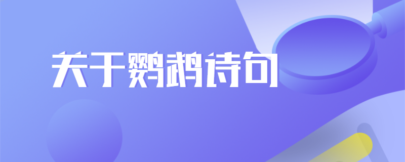 关于鹦鹉诗句
