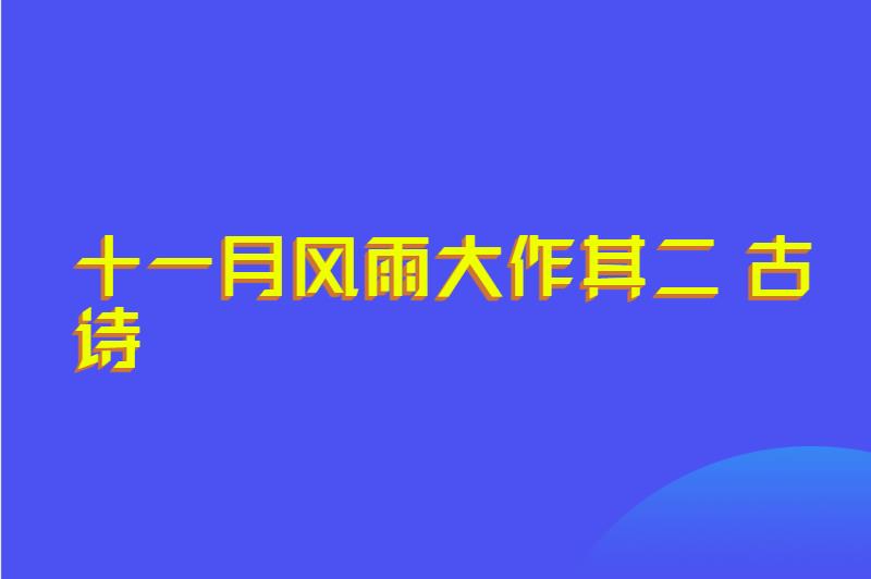 十一月风雨大作其二 古诗