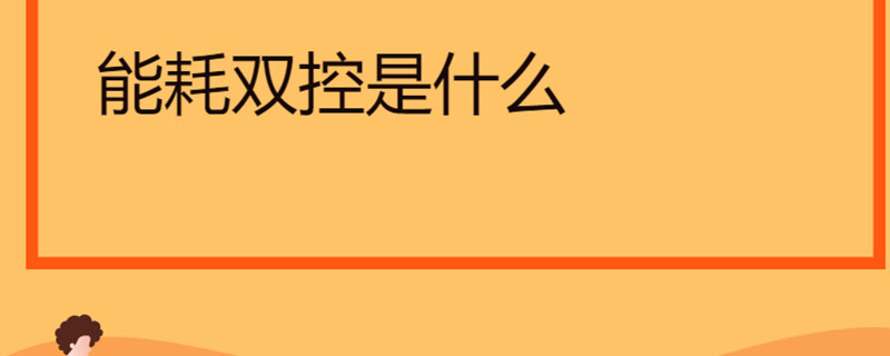 能耗双控是什么