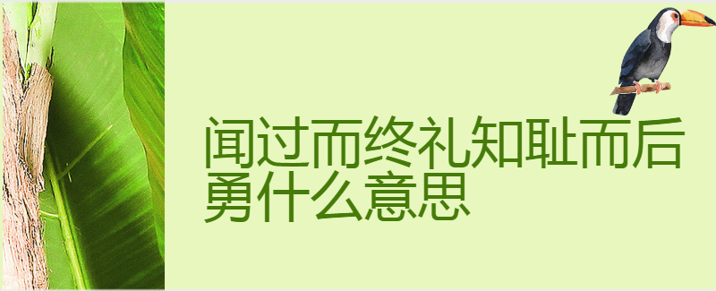 闻过而终礼知耻而后勇什么意思