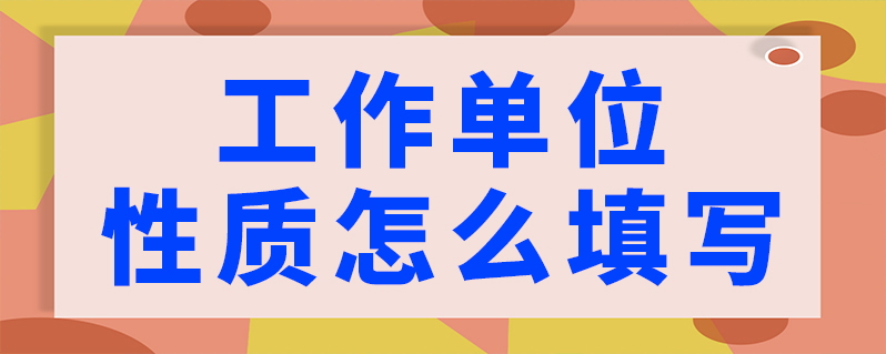 工作单位性质怎么填写